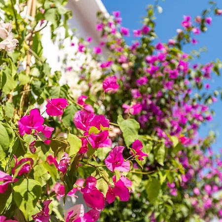 Bdino Boutique 호텔 이스탄불